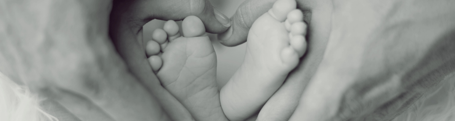 Baby Info Box_Webseite - 1