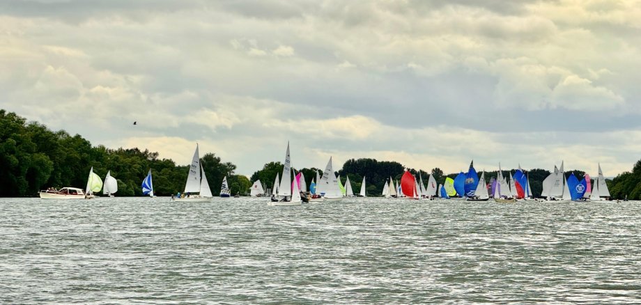 (Bild: 100 Segelboote vor Walluf auf dem Rhein, Foto SCR)