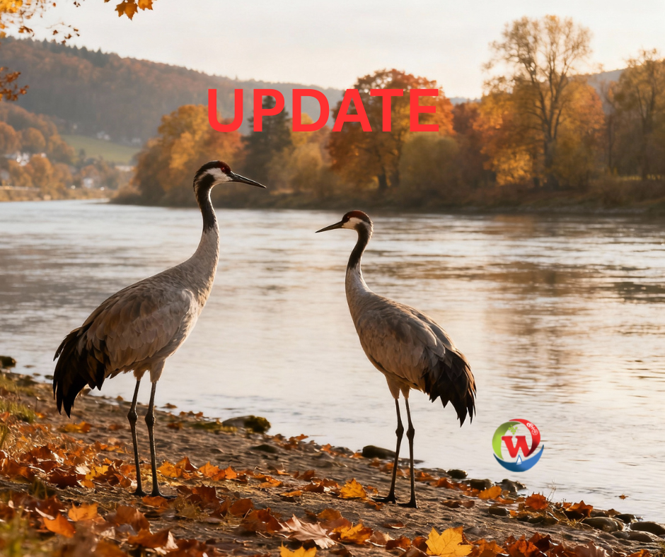 Geflügelpest_FB - 1