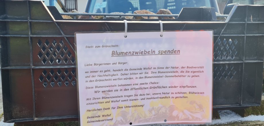 zweite Chance für Blumenzwiebeln