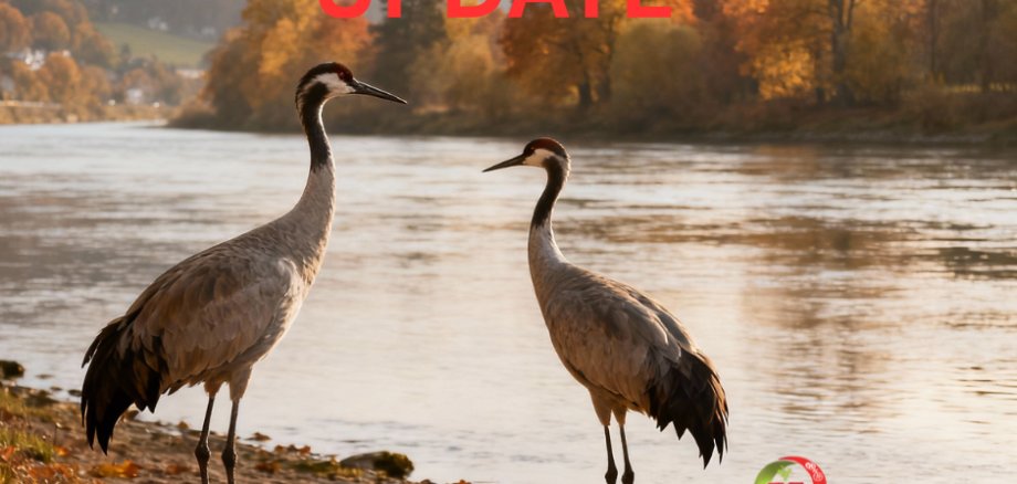 Geflügelpest_FB - 1