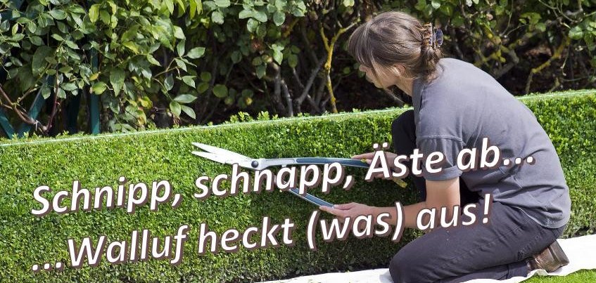 Walluf heckt was aus